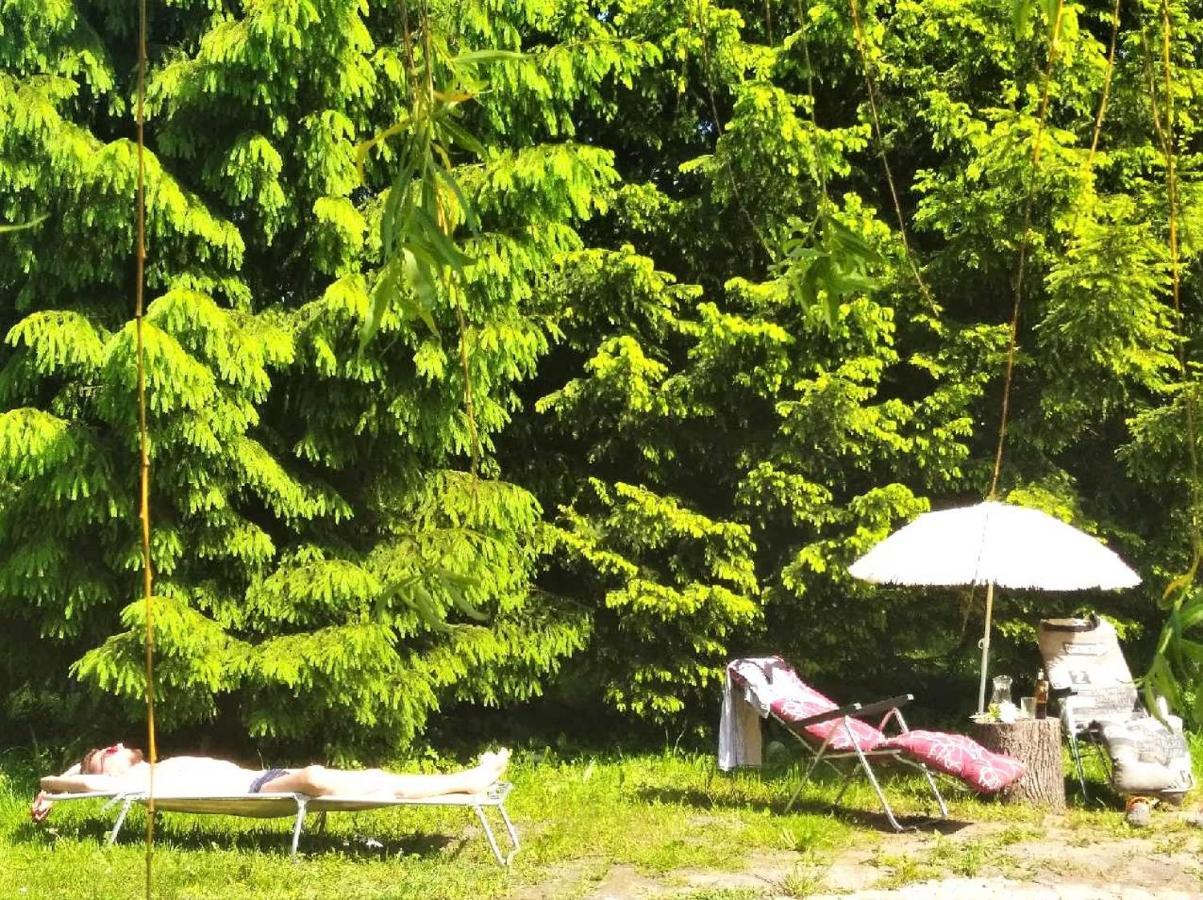Stara Szkolas7 Noclegi,Mzajezierze 8 14-330 Mazury マウディティ エクステリア 写真