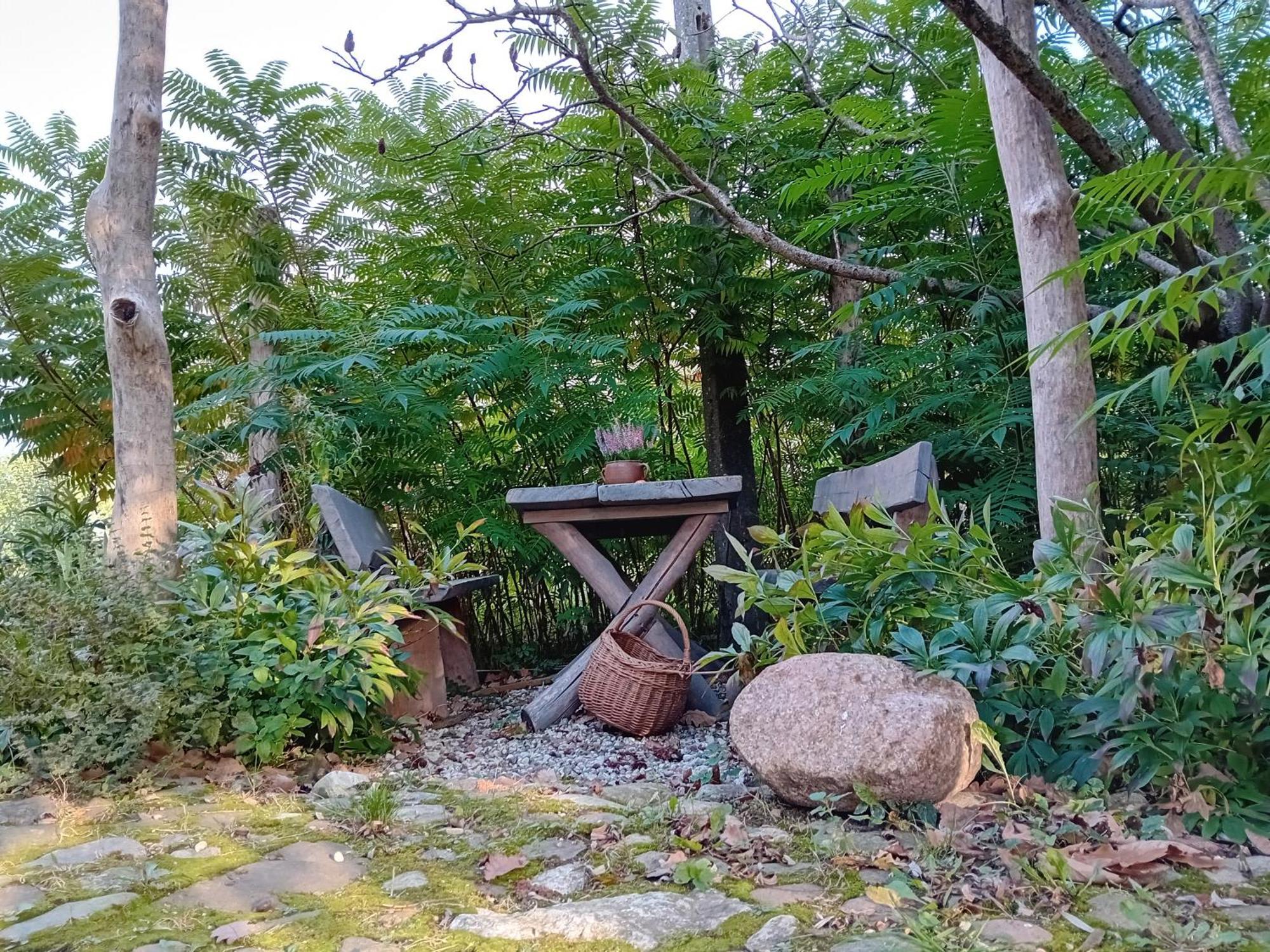 Stara Szkolas7 Noclegi,Mzajezierze 8 14-330 Mazury マウディティ エクステリア 写真
